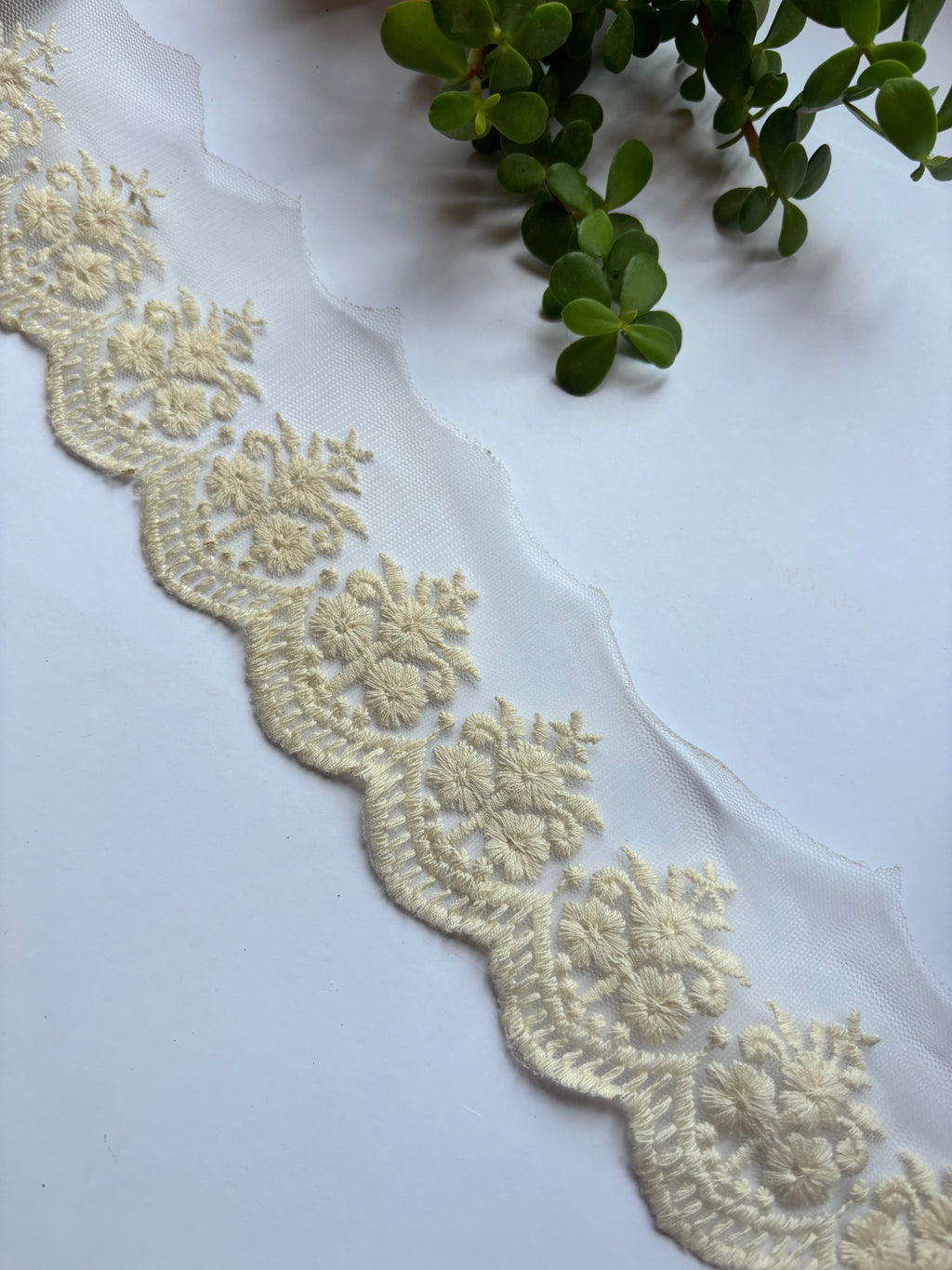 Intricate Scalloped Floral Embroidery Trim