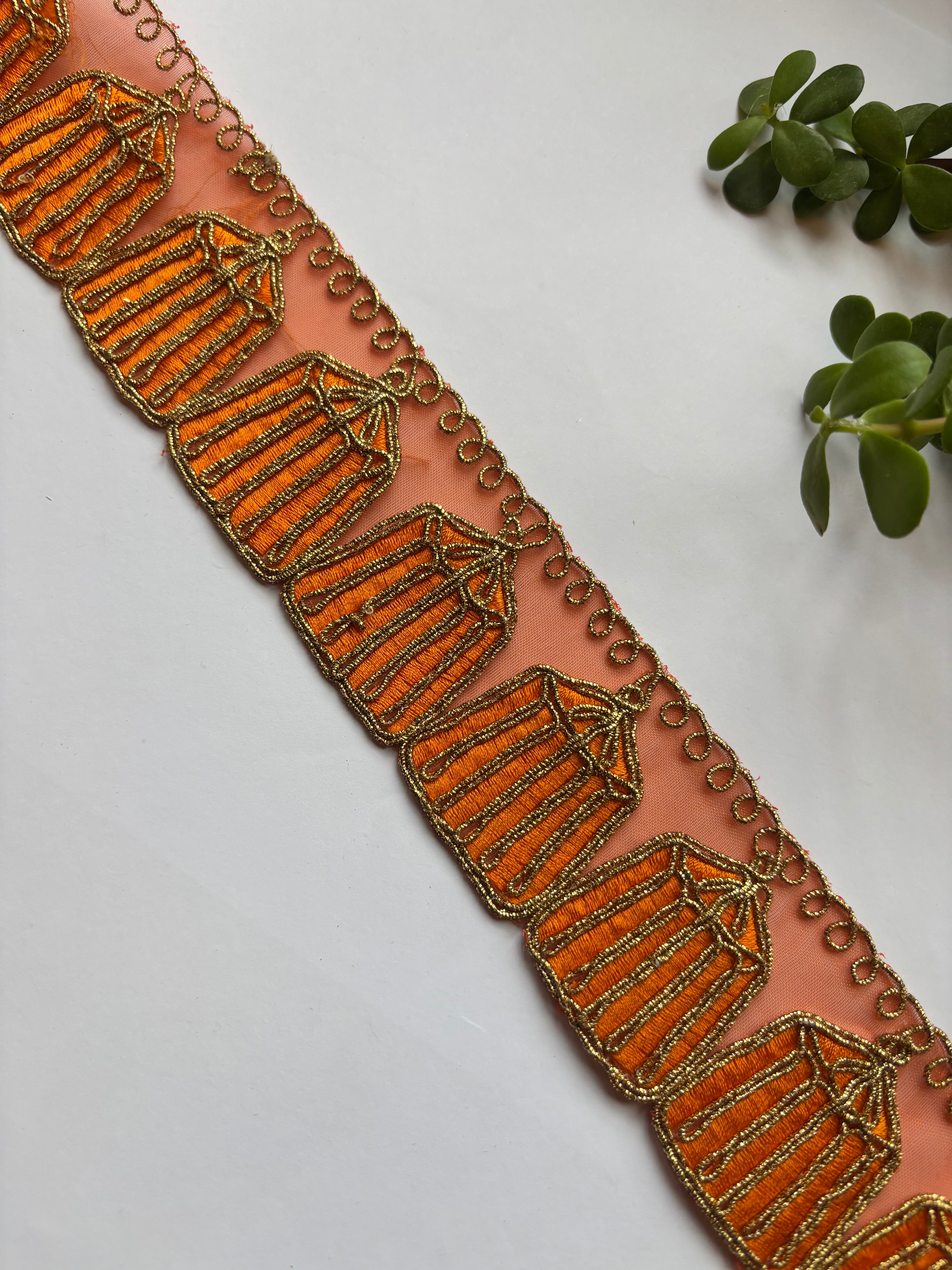 Ornate Cage-Motif Zari Lace