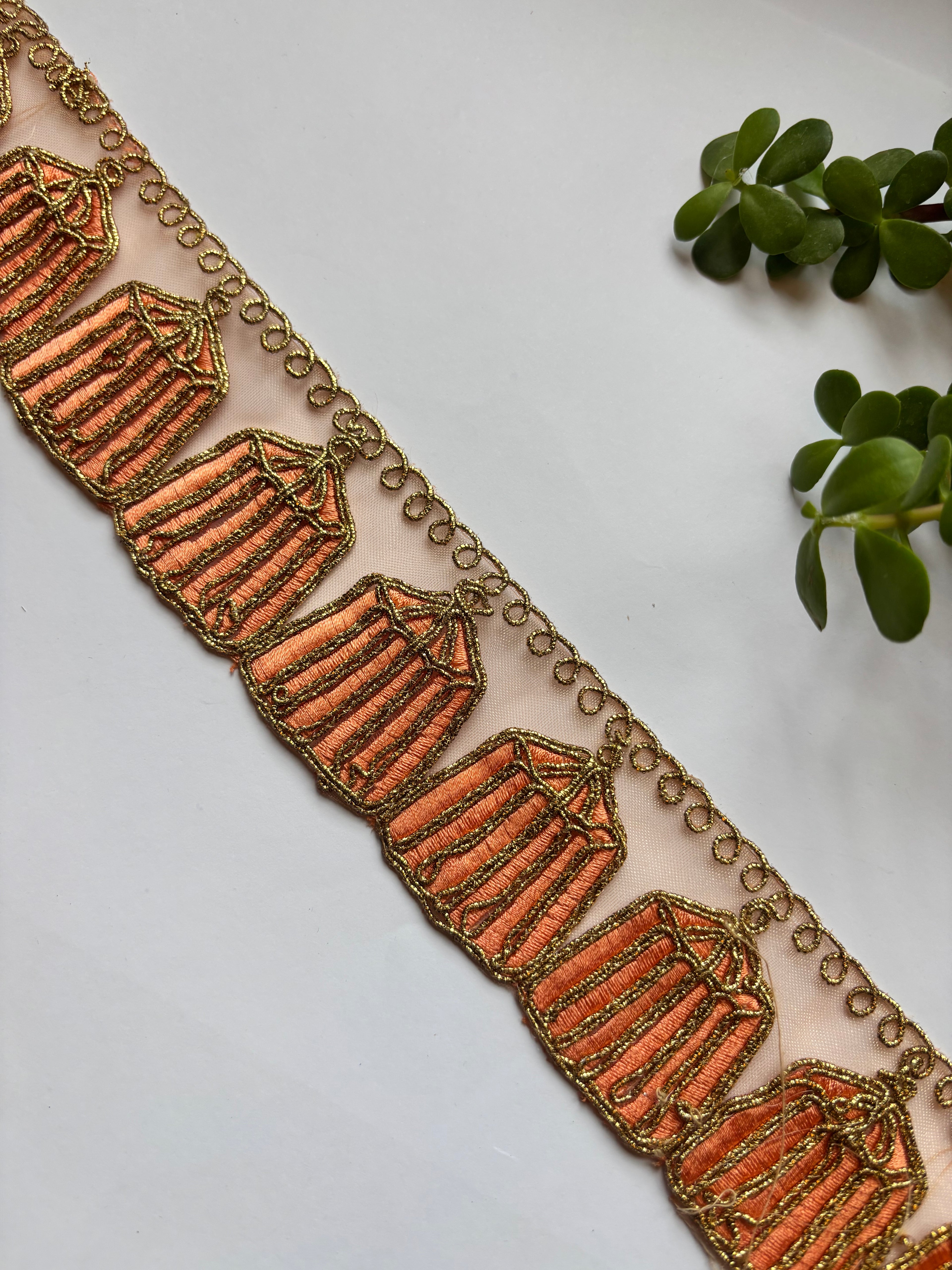Ornate Cage-Motif Zari Lace