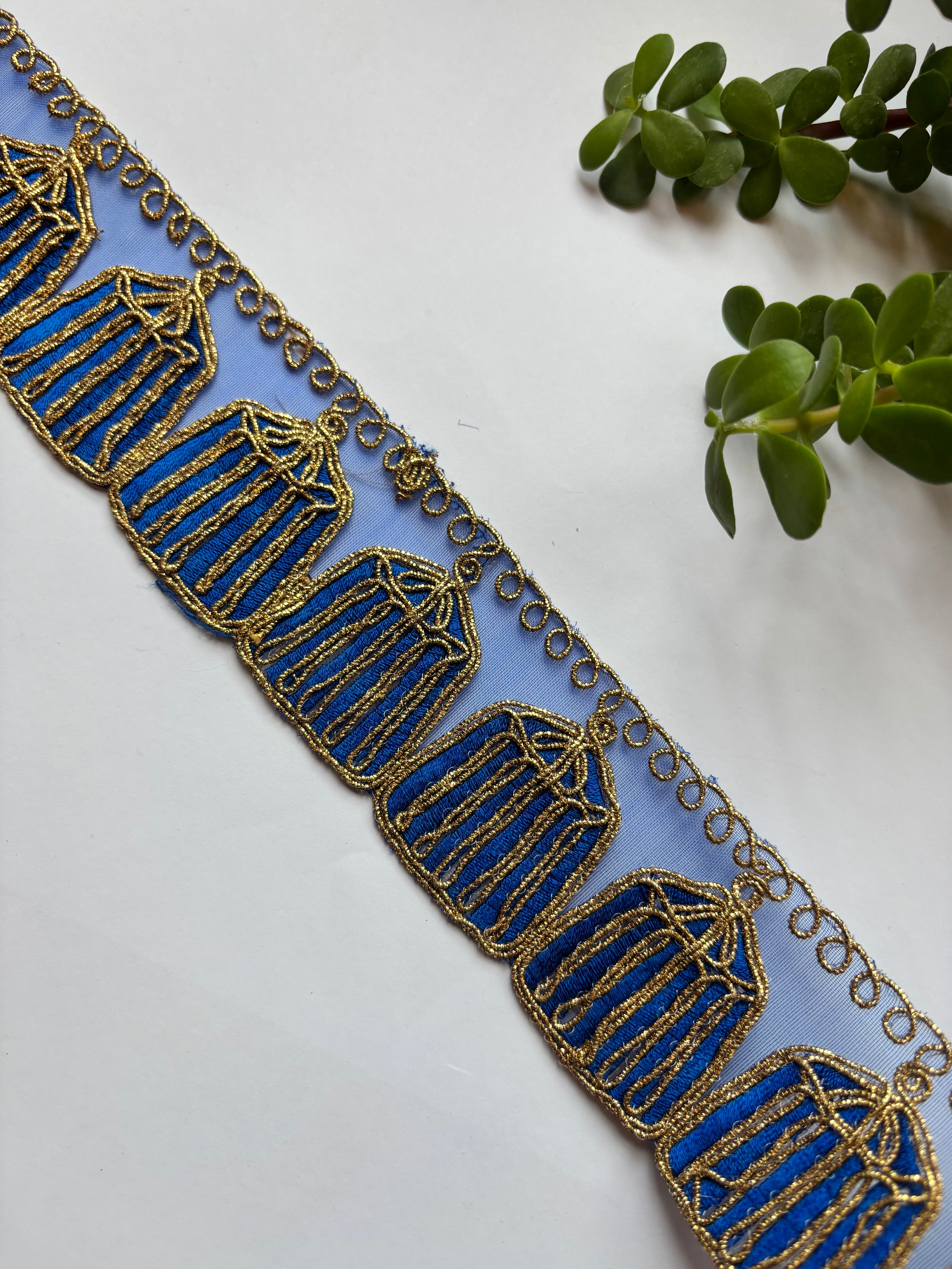 Ornate Cage-Motif Zari Lace