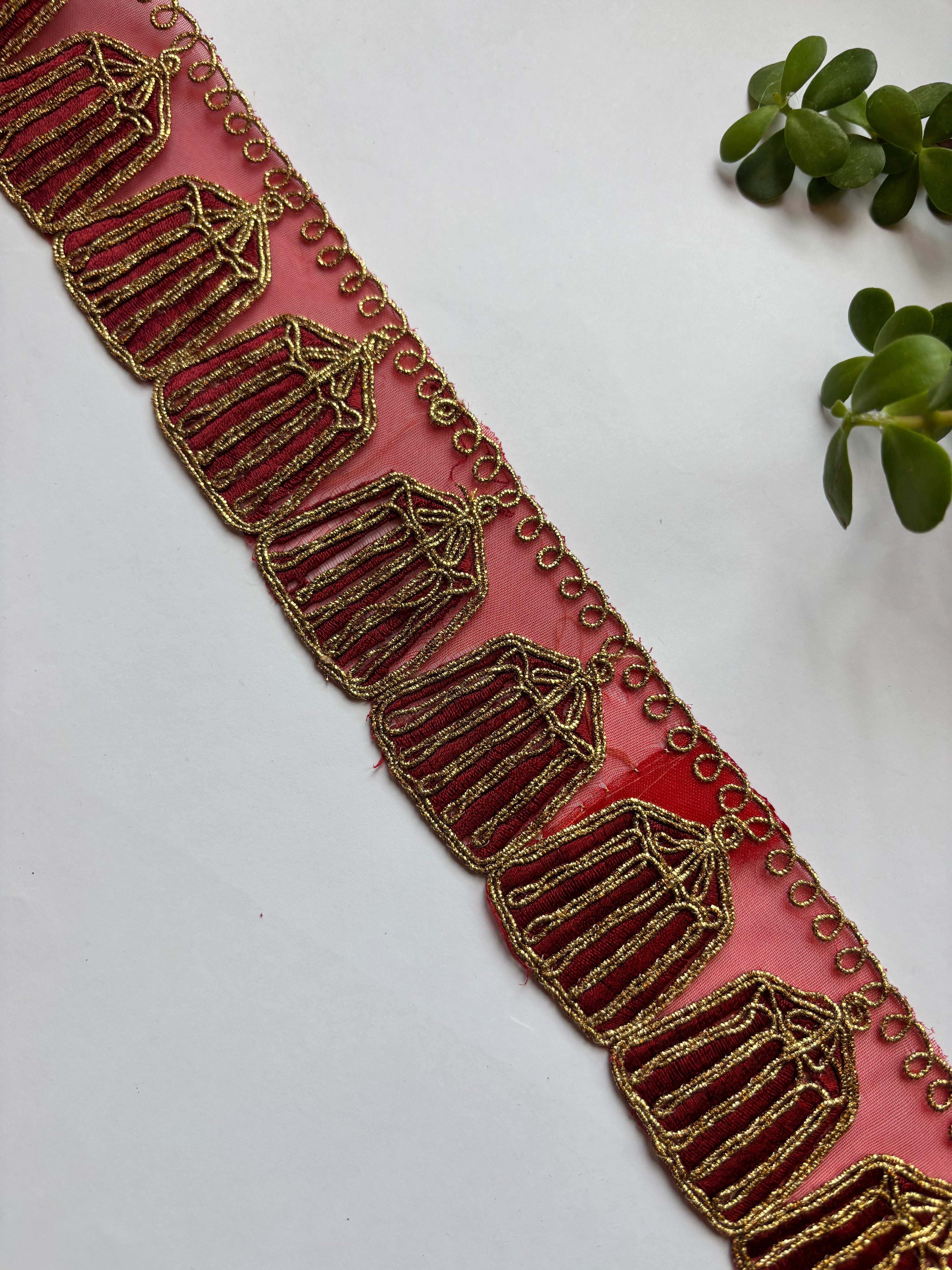 Ornate Cage-Motif Zari Lace