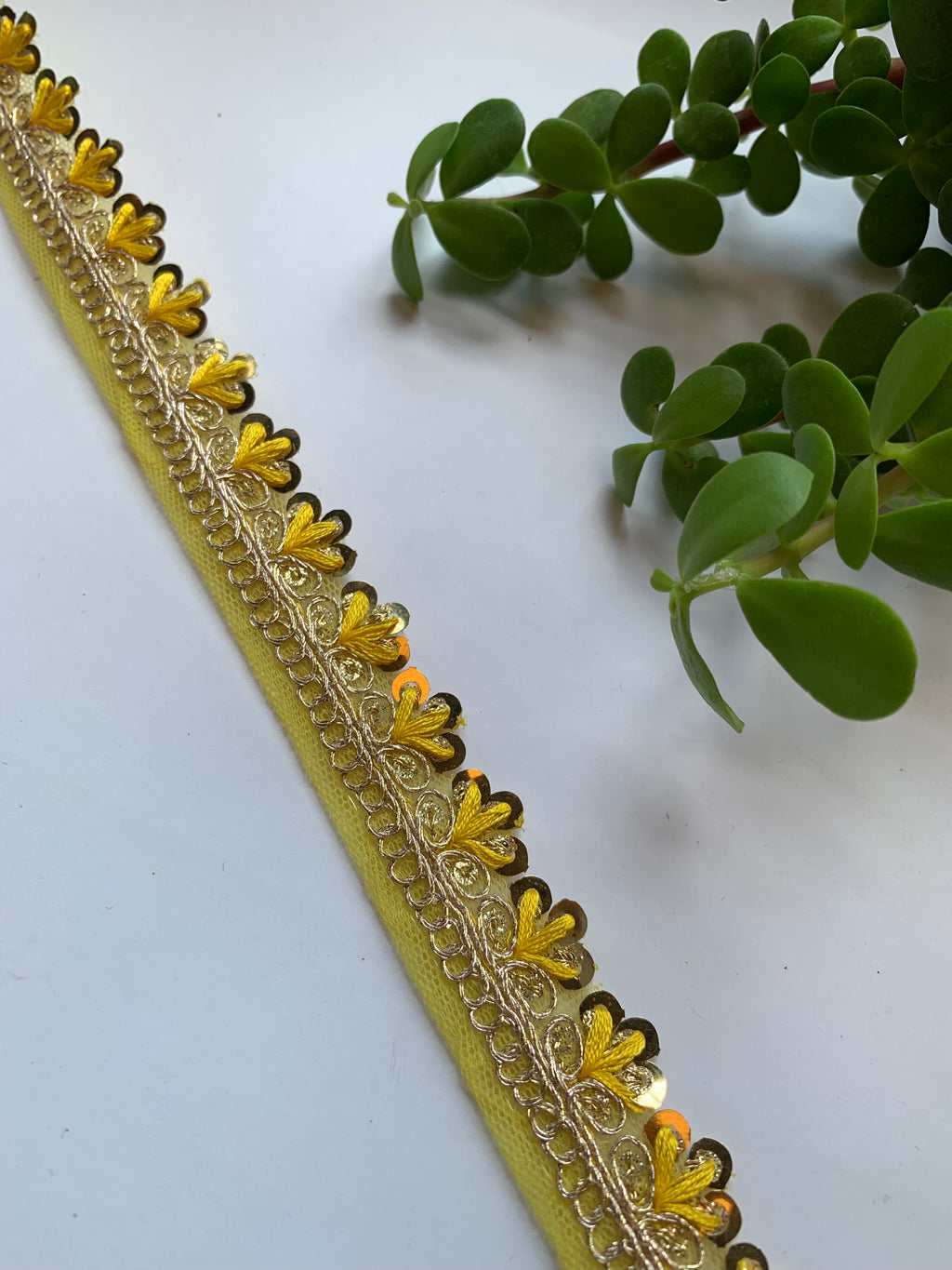 Scalloped Sequin Zari Lace Trim Collection